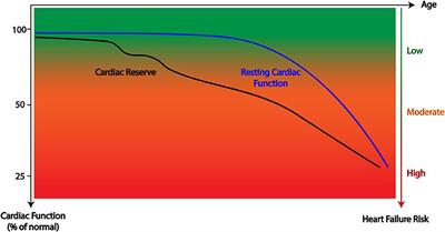 The Utility of Cardiac Reserve for the Early Detection of Cancer Treatment-Related Cardiac Dysfunction: A Comprehensive Overview